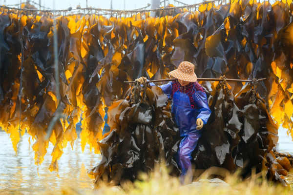 霞浦地道美食介紹