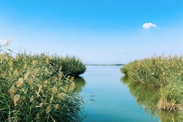 寧夏沙湖旅游精品線路 親子游路線