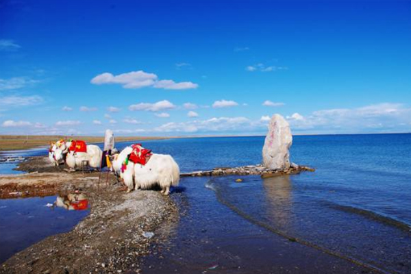 青海湖旅游注意事項