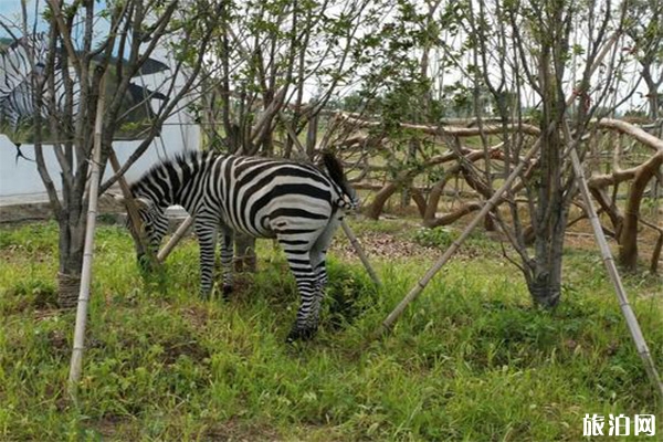 宿州野生動物園好玩嗎 停車位置在哪里