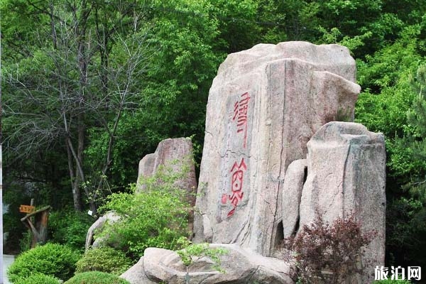 朱雀山森林公園介紹