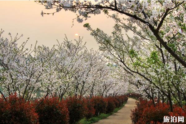 江西鳳凰溝風(fēng)景區(qū)