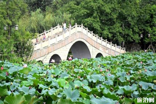 宜賓天池公園