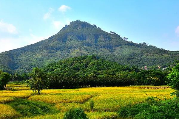 漳州圓山和芝山旅游攻略