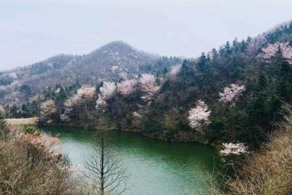 信陽桃花寨