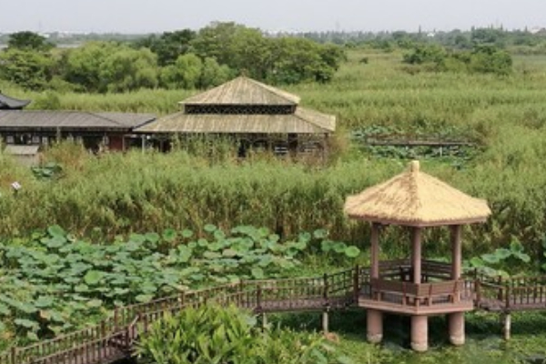 下渚湖國家濕地公園