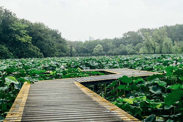 2021常州春秋淹城春節(jié)免費入園活動規(guī)則