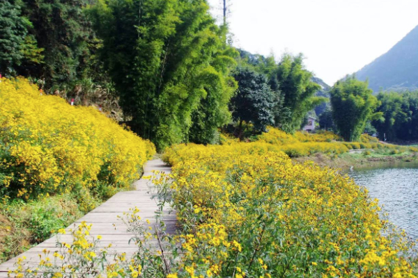 2021廣州從化石門森林公園游玩攻略 從化石門森林公園交通及住宿