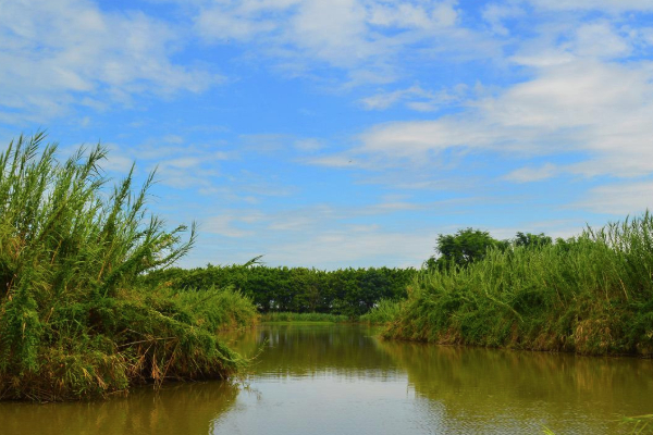 2021廣州南沙濕地公園門票多少錢 廣州南沙濕地公園門票優惠政策