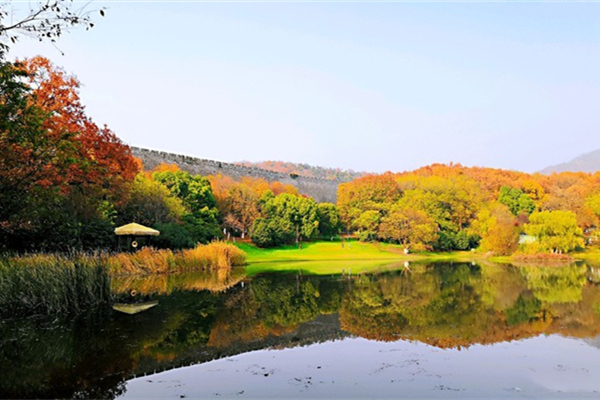 琵琶湖公園