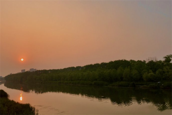 柳樹灣濕地公園